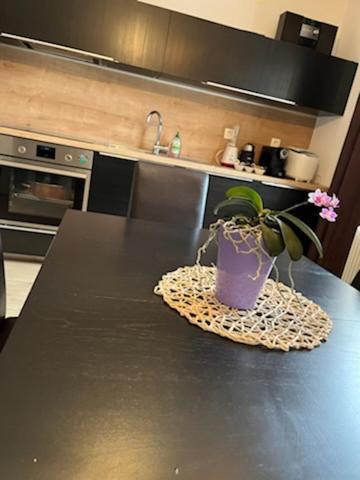 Apartma 보히니 외부 사진